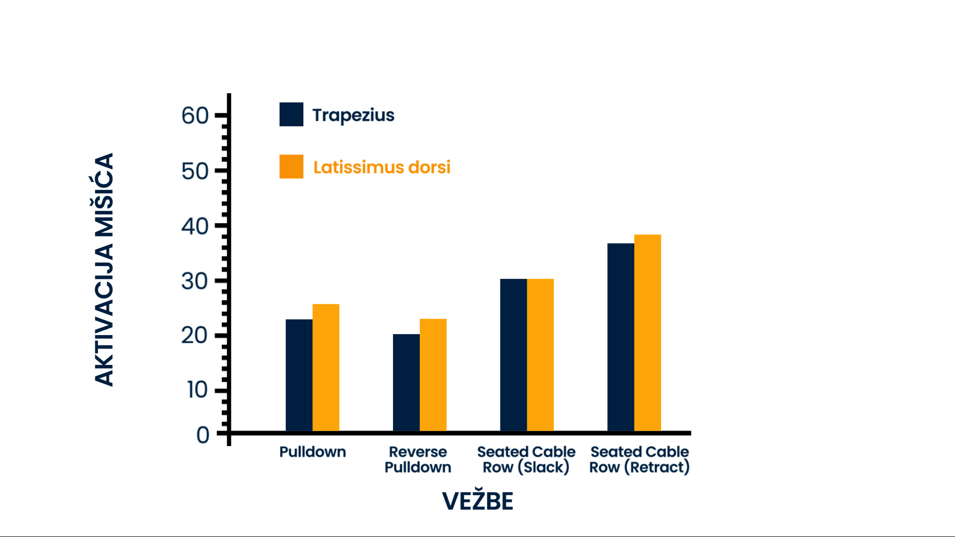 Grafikon aktivacije mišića trapezijusa i latissimusa dorsi tokom različitih vezbii za ledja: Pulldown, Reverse Pulldown, Seated Cable Row sa opuštenim i retrakovanim ramenima. Latissimus dorsi (narandžasto) i trapezijus (tamno plavo) imaju najveću aktivaciju tokom Seated Cable Row sa retrakcijom. Druga najveća aktivacija latissimusa i trapezijusa je tokom izvođenja Seated Cable Row sa opuštenim ramenima.
