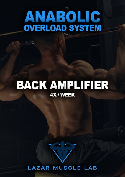 AOS - Back Amplifier - 4x